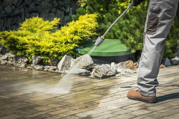 Animal Enclosure Cleaning in Imperial, CA